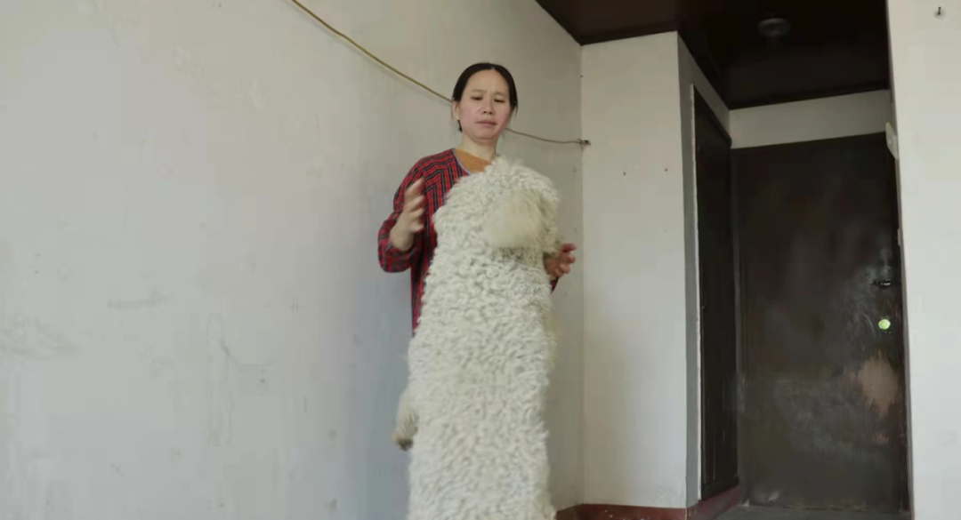 疫情当下 这个“傻”大姐 用十余载守护一方猫狗！(图6)
