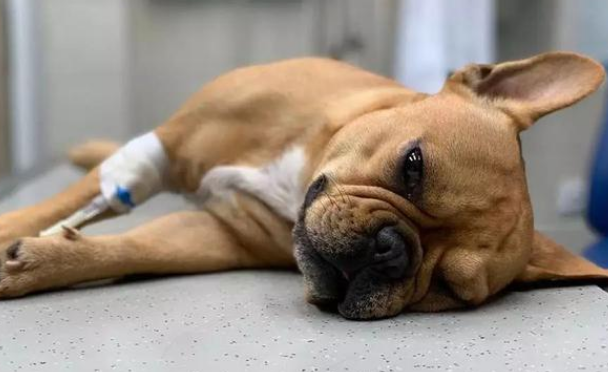 是什么东西黑色棘皮症？(图1)