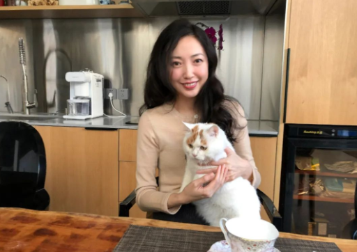流浪猫的逆袭之路|变得了京城阔少 还住上了大别墅！(图7)