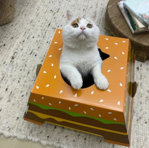 流浪猫的逆袭之路|变得了京城阔少 还住上了大别墅！(图12)