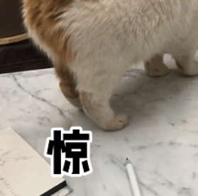 流浪猫的逆袭之路|变得了京城阔少 还住上了大别墅！(图15)