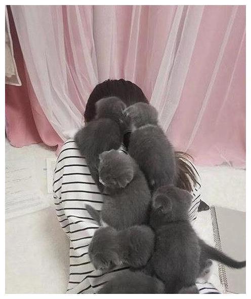 猫咪打挠孩子写作业 看看吧硬核妈妈是怎摸无法降服的？(图9)