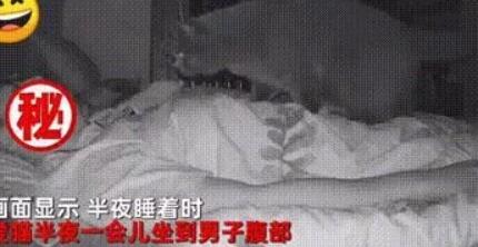 男子每天7点起床都觉着很累啊 查看监控发现是只猫：看看你如何确定还活着的(图1)
