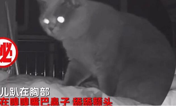男子每天7点起床都觉着很累啊 查看监控发现是只猫：看看你如何确定还活着的(图3)