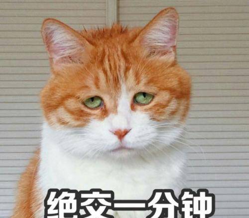 主人回家一直找不到猫主子 跑去厕所仔细看了看 眼前的一幕让人好气又好笑(图2)
