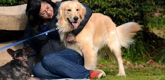 养狗以后 你能慢慢的地很反感狗吗？(图2)