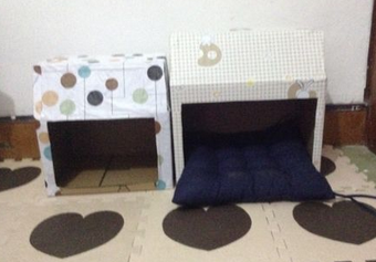 最简单用狗窝方法 看一下就能能学会的方法(图3)