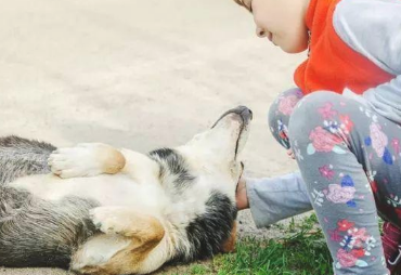 狗狗与主人更加亲密无间的五个个人行为(图2)