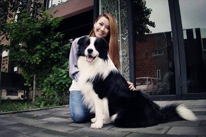 边境牧羊犬幼犬训练方法 幼犬就该那样的话训练(图2)