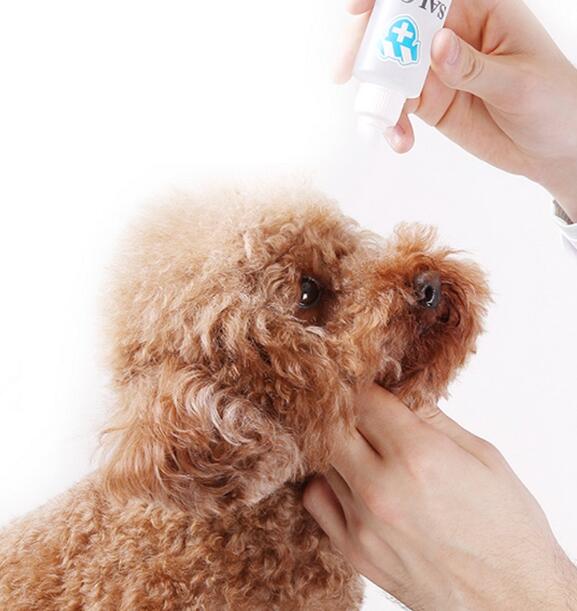 宠物滴眼液的真确不使用办法(图1)