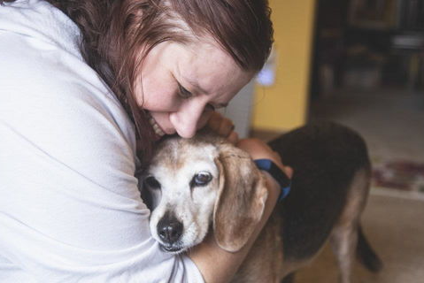 狗狗误吃樟脑丸会中毒?轻则呕吐重则贫血肝肾功能损伤(图1)