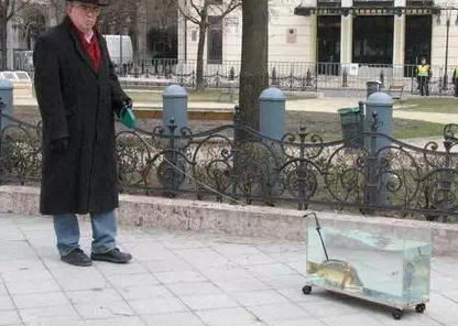 看到过遛狗遛猫的算什么你看到过遛龟?遛鱼?遛蜥蜴?(图4)