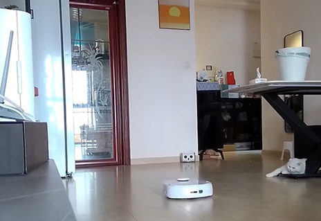 小猫开门让扫地机器人下27楼 主人查看监控哭笑不得(图1)