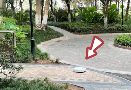 小猫开门让扫地机器人下27楼 主人查看监控哭笑不得(图2)