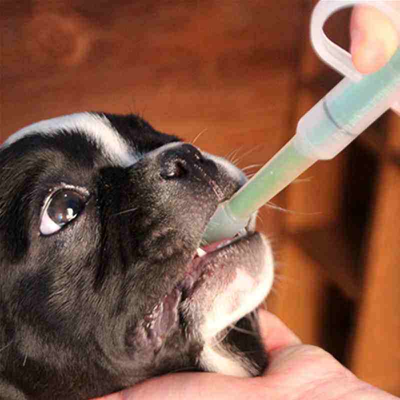 狗狗生病了不愿服药？试一下这几个 灌药非常功能强大(图1)