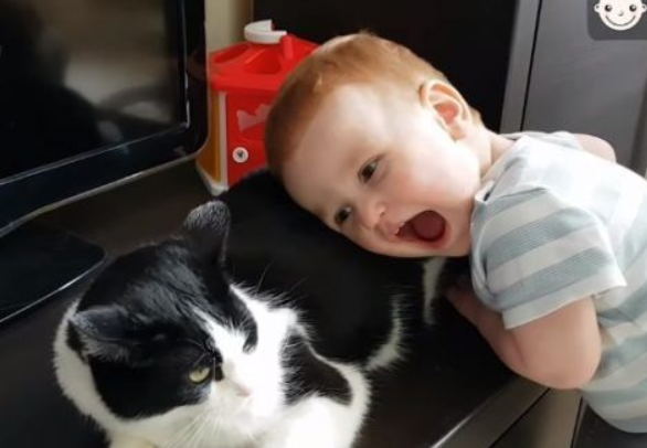 亲猫狂 人类弟弟超爱他的猫哥哥(图2)