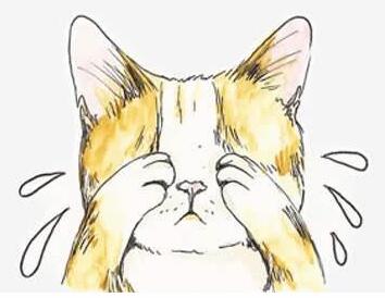 猫咪难过时真的会哭吗？爱哭猫的背后 你要关注的不只是情绪(图2)