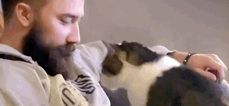 猫偏爱男友 小姐姐为赢得它的心 找到一个100%吸猫方法(图3)