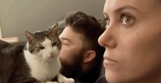 猫偏爱男友 小姐姐为赢得它的心 找到一个100%吸猫方法(图5)