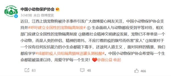 主人被隔离 防疫人员带罐头给猫咪验核酸 央视网评“宠物被扑杀”：别拿别人宠物当畜生(图2)