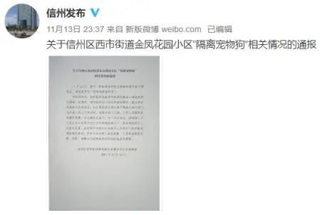 主人被隔离 防疫人员带罐头给猫咪验核酸 央视网评“宠物被扑杀”：别拿别人宠物当畜生(图3)