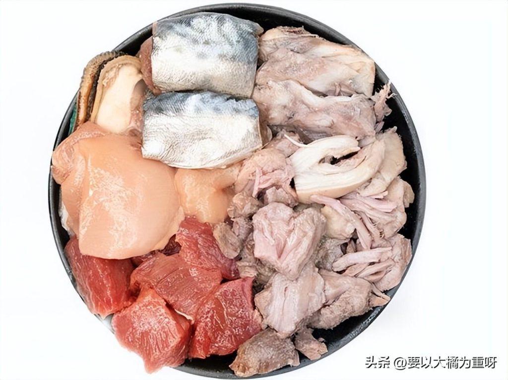 狗狗吃剩饭剩菜好还是吃狗粮好？大家都喂狗吃什么？（剩菜剩饭给狗吃算浪费吗）(图4)