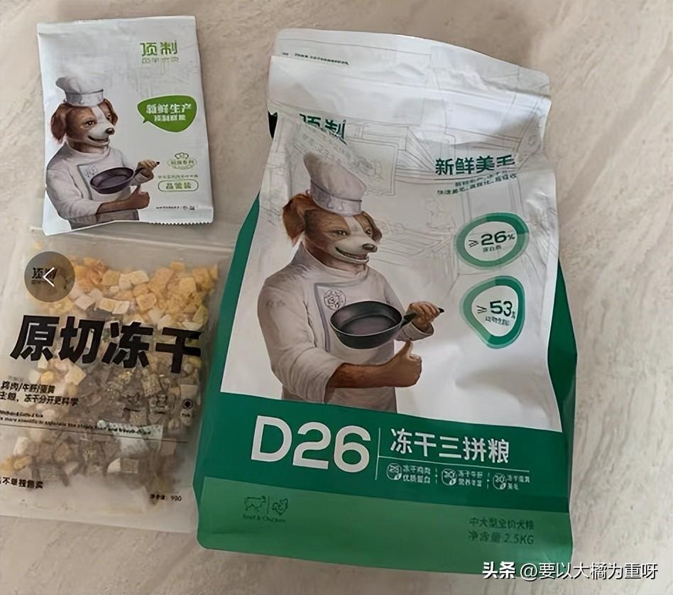 狗狗吃剩饭剩菜好还是吃狗粮好？大家都喂狗吃什么？（剩菜剩饭给狗吃算浪费吗）(图6)