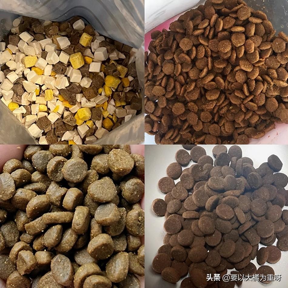 狗狗吃剩饭剩菜好还是吃狗粮好？大家都喂狗吃什么？（剩菜剩饭给狗吃算浪费吗）(图5)