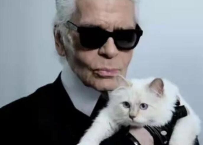 世界上最富有的猫 继承了老佛爷21亿遗产 现在过得怎么样(图4)