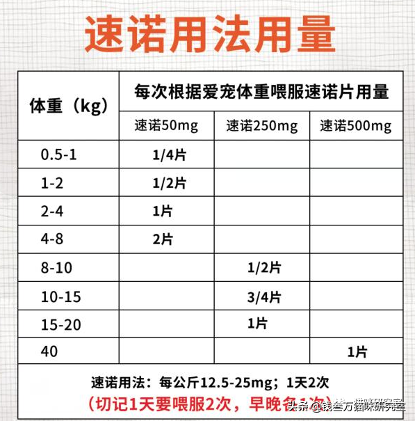 咋用阿莫西林给猫治感冒？（猫感冒咳嗽吃阿莫西林用量）(图5)
