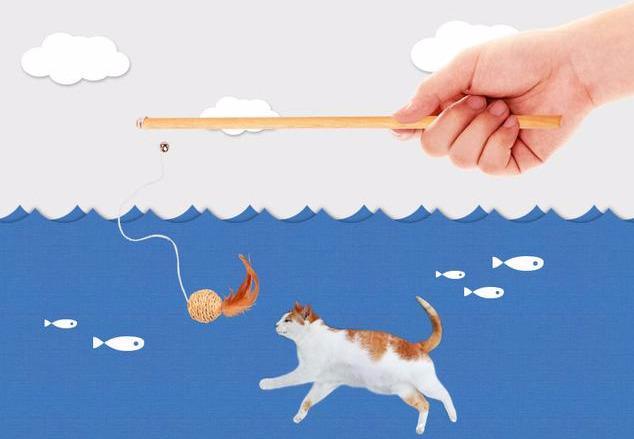 大部分铲屎官绝对不会选逗猫棒 更肯定不会用？用法错误会让猫受了重伤（逗猫棒会让猫变暴力吗）(图2)