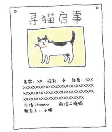猫咪走失后 千万不能惊慌 3个方法帮你可以找回它(图12)