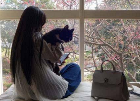 如何能对的抱猫咪才不会挣扎？抱猫咪的4种方式 主人学会了了 猫咪不奋力挣扎(图3)