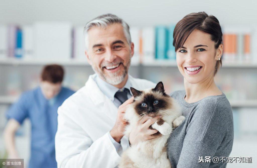 猫咪叫春惹得实在不舒服 该怎么办啊？有这几种能解决的方法(图7)