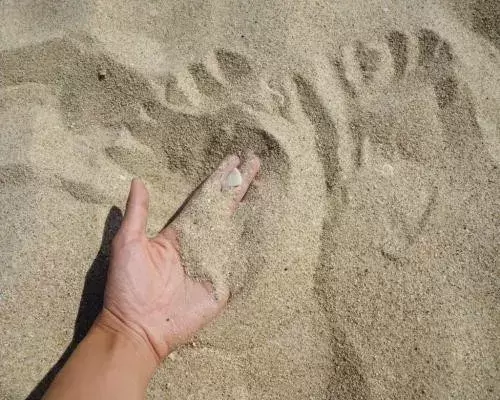 家里猫砂不够的了？教你几招用应急供电(图3)