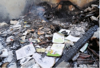 被毒死猫会有报应吗|农妇烧死家中怀宝宝老猫 而惨遭报应结果结果惨厉(图1)