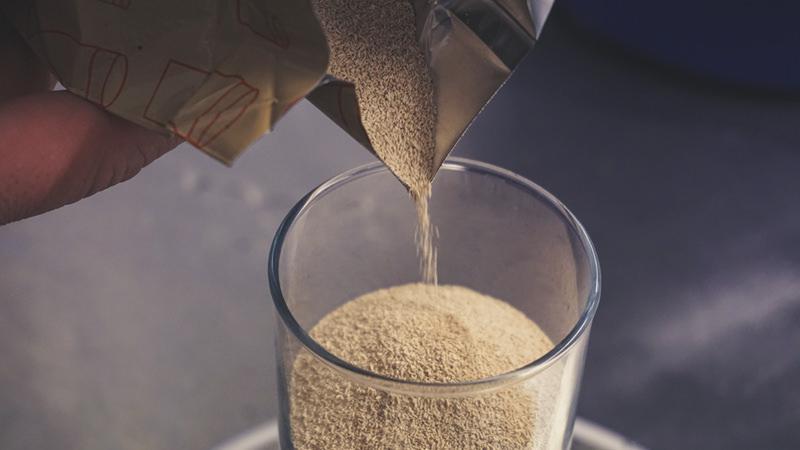 猫咪身上有跳蚤 让人很烦恼 如何还有？教你5个小偏方 简单最有效(图5)