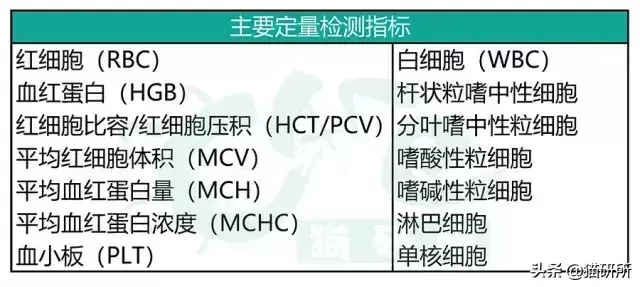 给猫咪做检查血常规查什么?通过血常规一眼就可以看出哪些问题?(图3)