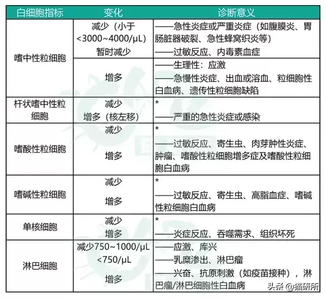 给猫咪做检查血常规查什么？通过血常规一眼就可以看出哪些问题？(图8)