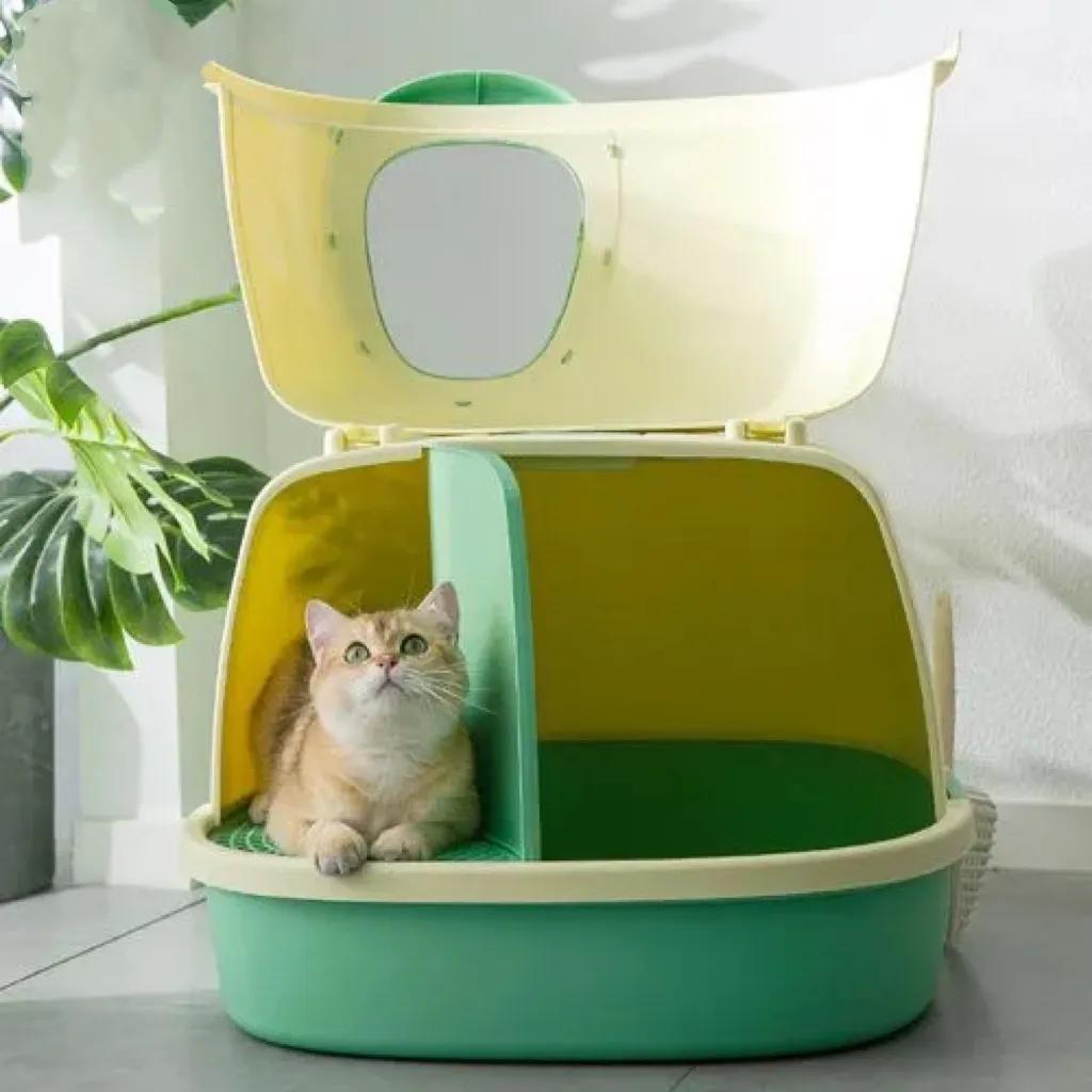 如何训练幼猫用猫砂？训练幼猫技巧：要赞美，不要惩罚它(图1)