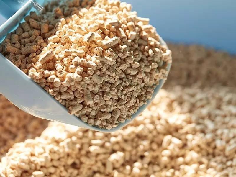 猫砂太多很难选，怎么挑选？四个标准助你选猫砂(图2)