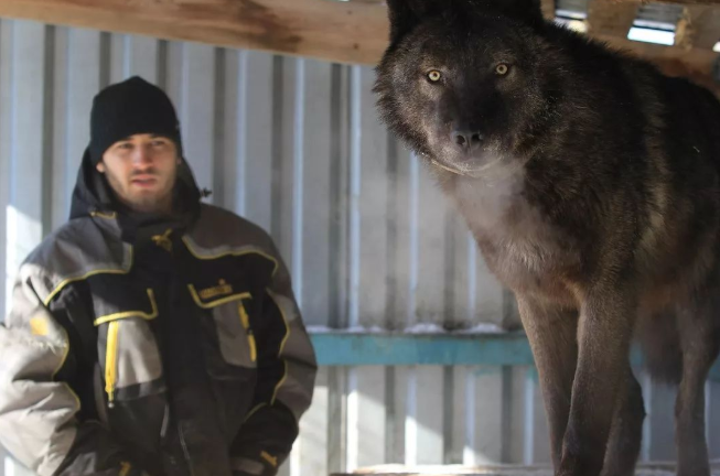 网友捡到5只小猫，兽医却说不是猫而是狗，但等它们长大后……(图12)