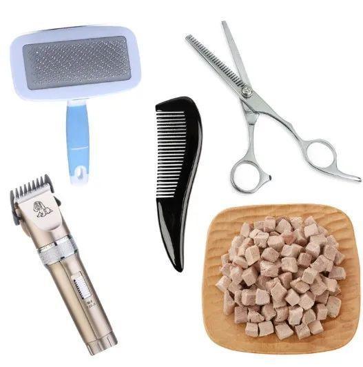 疫情期间，如何在家帮猫咪修剪毛发？简单的帮猫咪修毛的方法(图2)