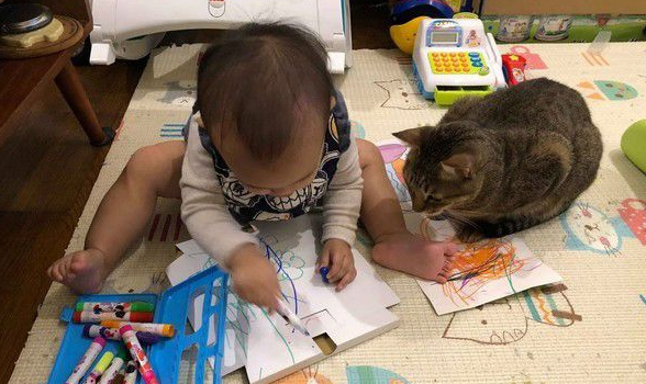 吸猫运动请从小做起 小小年纪就有专业猫奴气质(图2)