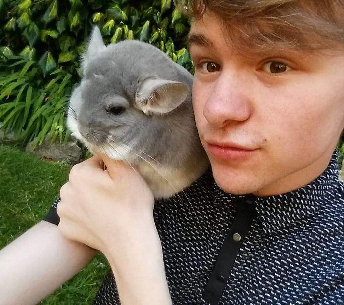 想要拥有一只龙猫？记得要从小养（脾气不好的建议不要养）(图4)