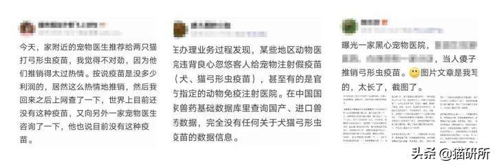 关于弓形虫：猫咪有弓形虫疫苗吗？(图1)