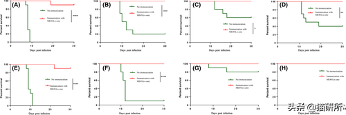 关于弓形虫：猫咪有弓形虫疫苗吗？(图10)