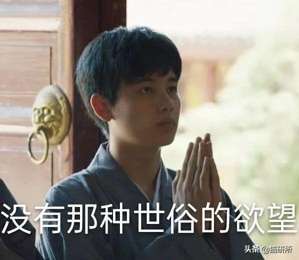 关于弓形虫：猫咪有弓形虫疫苗吗？(图13)