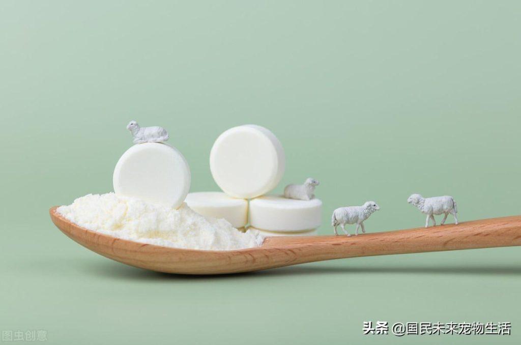 刚出生的小猫要如何照顾？人工喂养能养活吗？(图6)