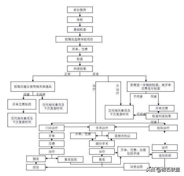 猫咪肚子疼为什么要做尿液分析检查？检查前有什么注意事项？(图1)
